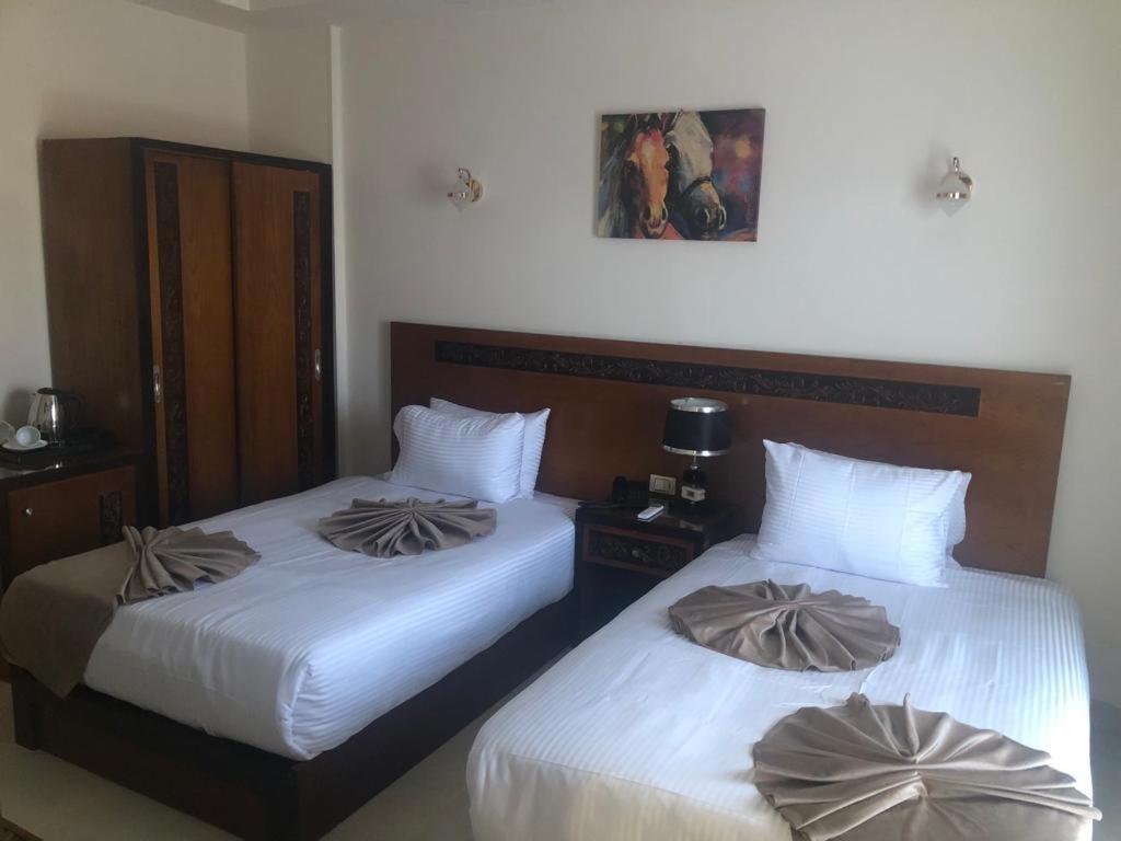 Jewel Inn El Bakry Hotel Каир Экстерьер фото
